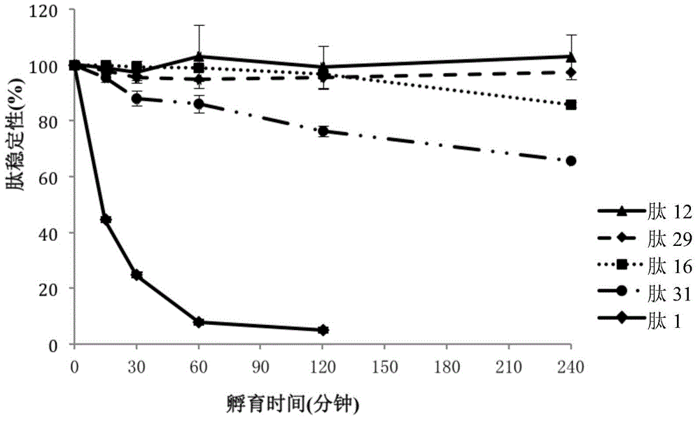 Polypeptide, polypeptide derivative, medicinal salt of polypeptide and pharmaceutical composition