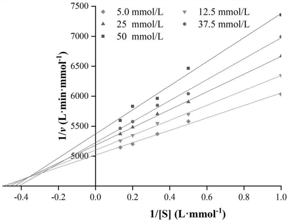 Application of kadsura coccinea extract in preparation of skin whitening product