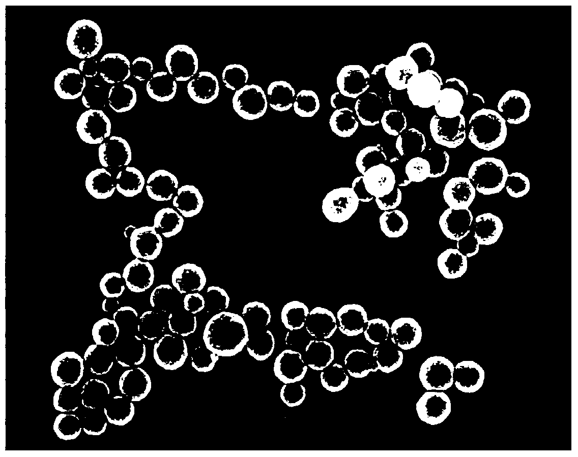 A photosensitive drug nanoparticle and its preparation method and application