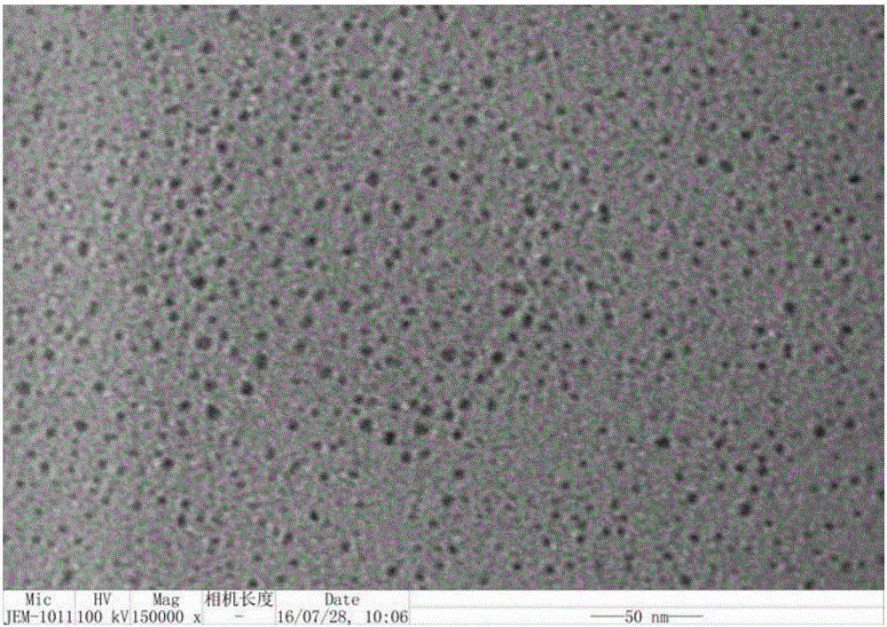 Microporous polymer-nano-metal particle catalyst and its preparation method and use