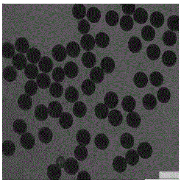 Chemical hybriding agent of Brassica. Rapa and application method thereof