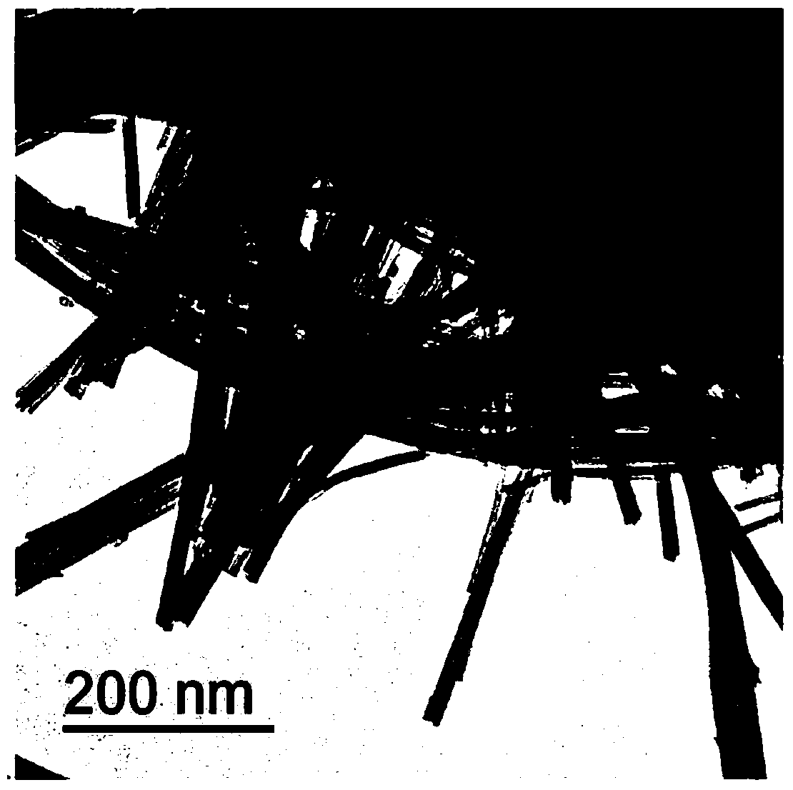 Method for preparing tantalum (Ta)-doped wolfram (W)-oxide adsorption nano-material