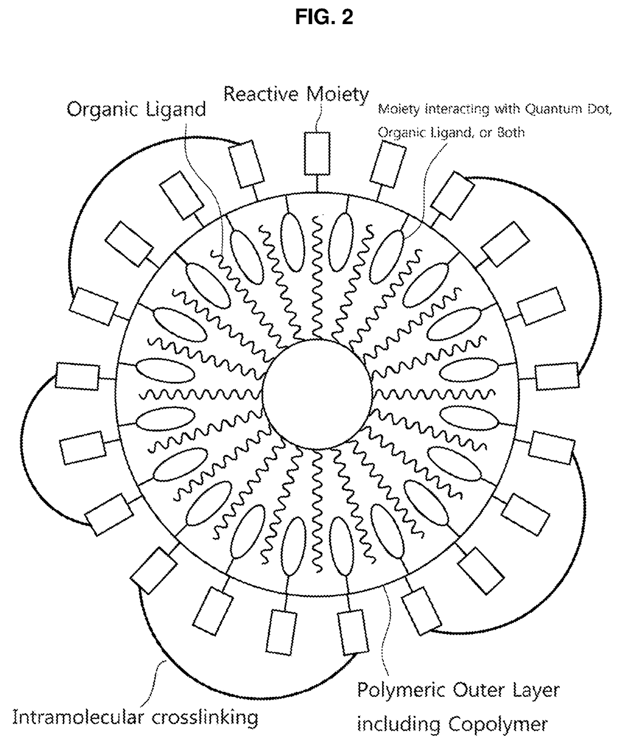 Quantum dot having polymeric outer layer, photosensitive compositions including the same, and quantum dot polymer composite pattern produced therefrom