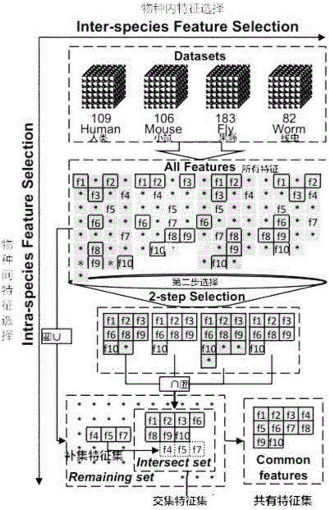 Multi-species feature selection and unknown gene identification methods