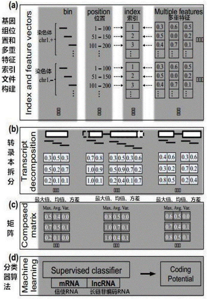 Multi-species feature selection and unknown gene identification methods