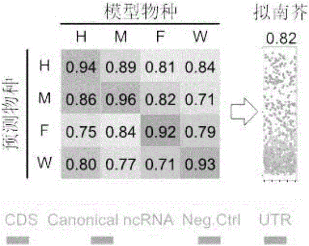 Multi-species feature selection and unknown gene identification methods