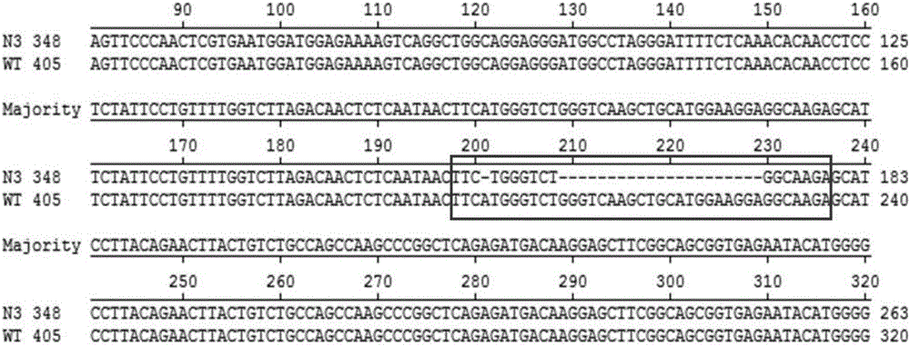 Immunodeficient mice, manufacturing method thereof and application