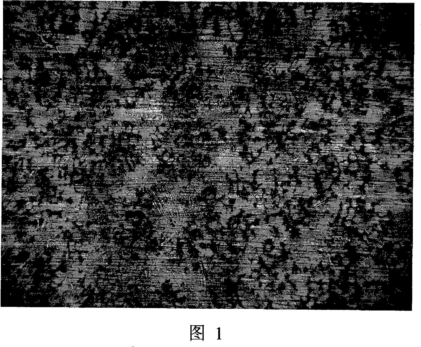 Wear-resistant alloy cast iron modified material and method for manufacturing grinding plate blank casting thereby