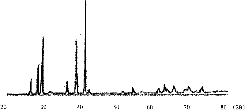 Compact 10 B boron carbide-rich ceramics and preparation thereof