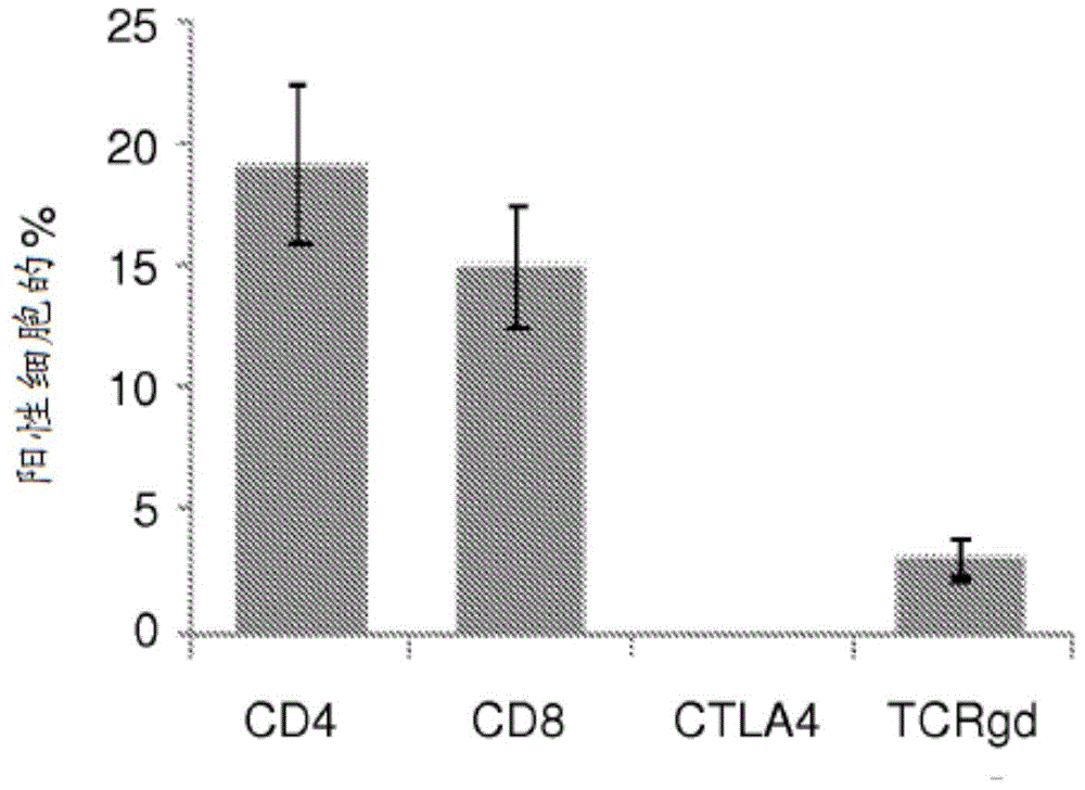 Cellular markers for diagnosis of alzheimer's disease and for alzheimer's disease progression