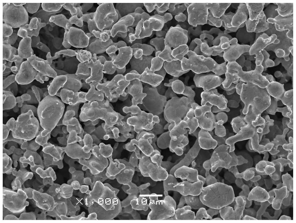 Preparation method of powder net composite porous metal film