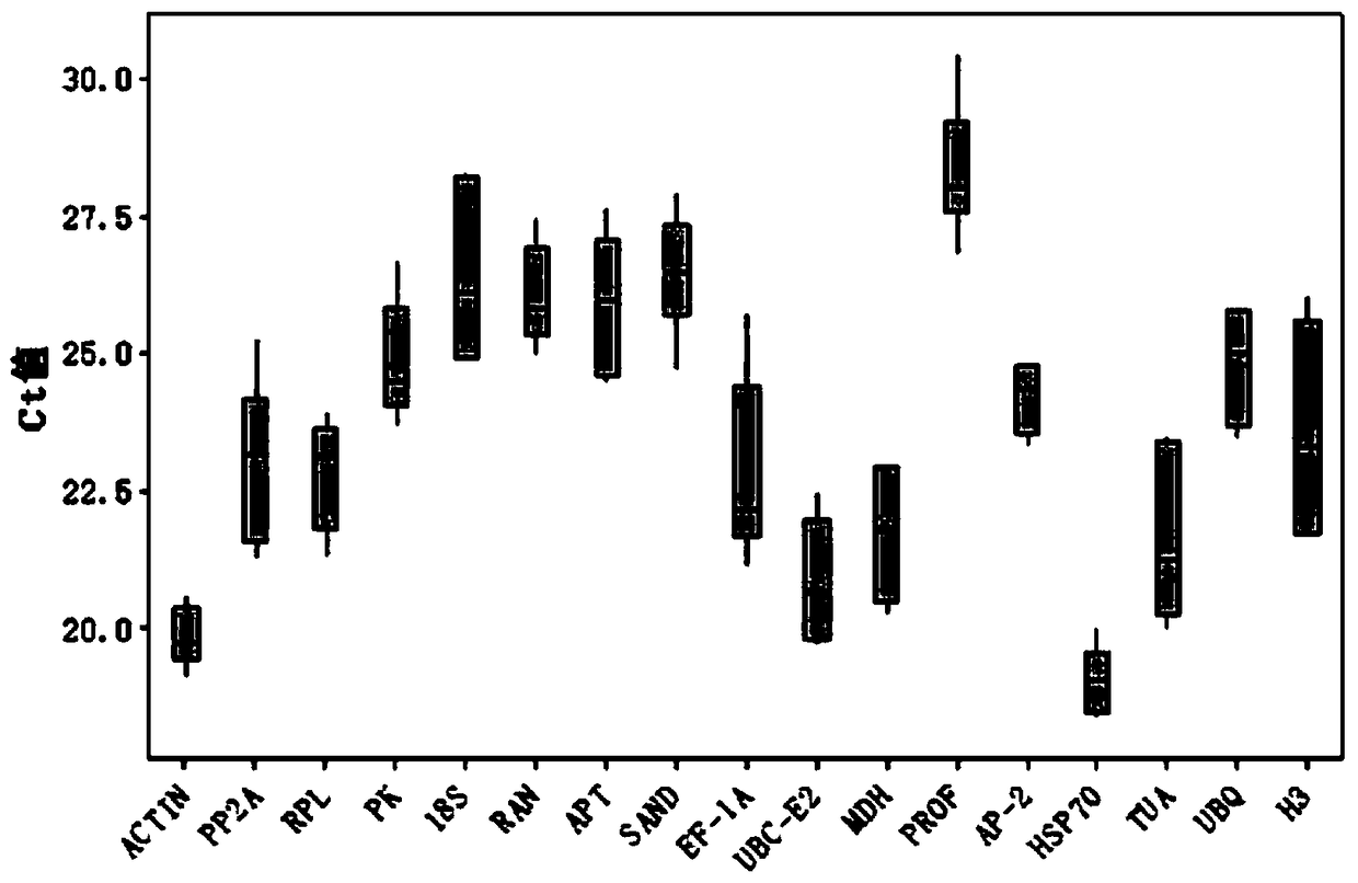 Fluorescence quantitative internal reference gene suitable for Haizhou Changshan flower, primer and application thereof