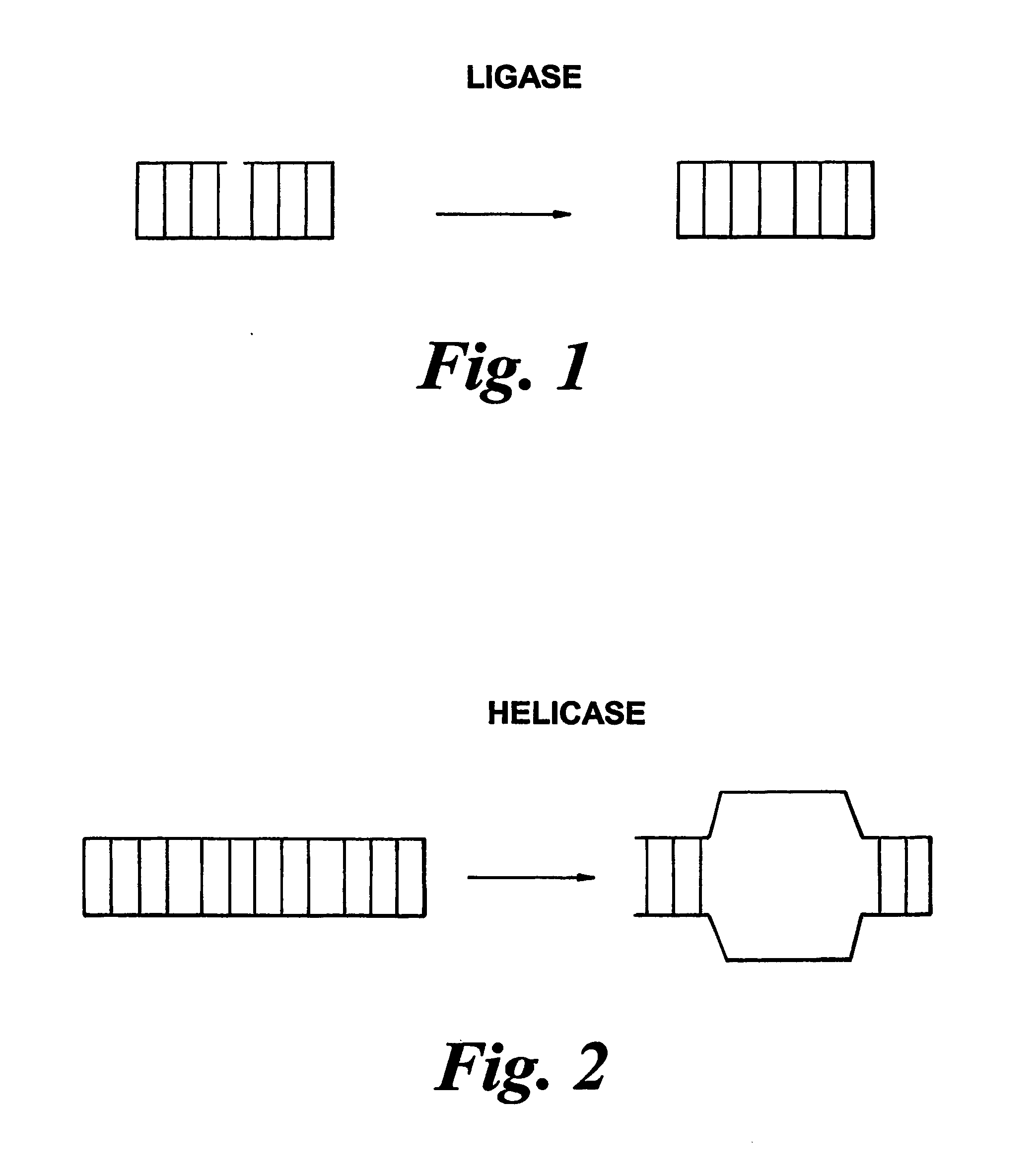 Methods of detecting modification of genetic material and monitoring processes thereof