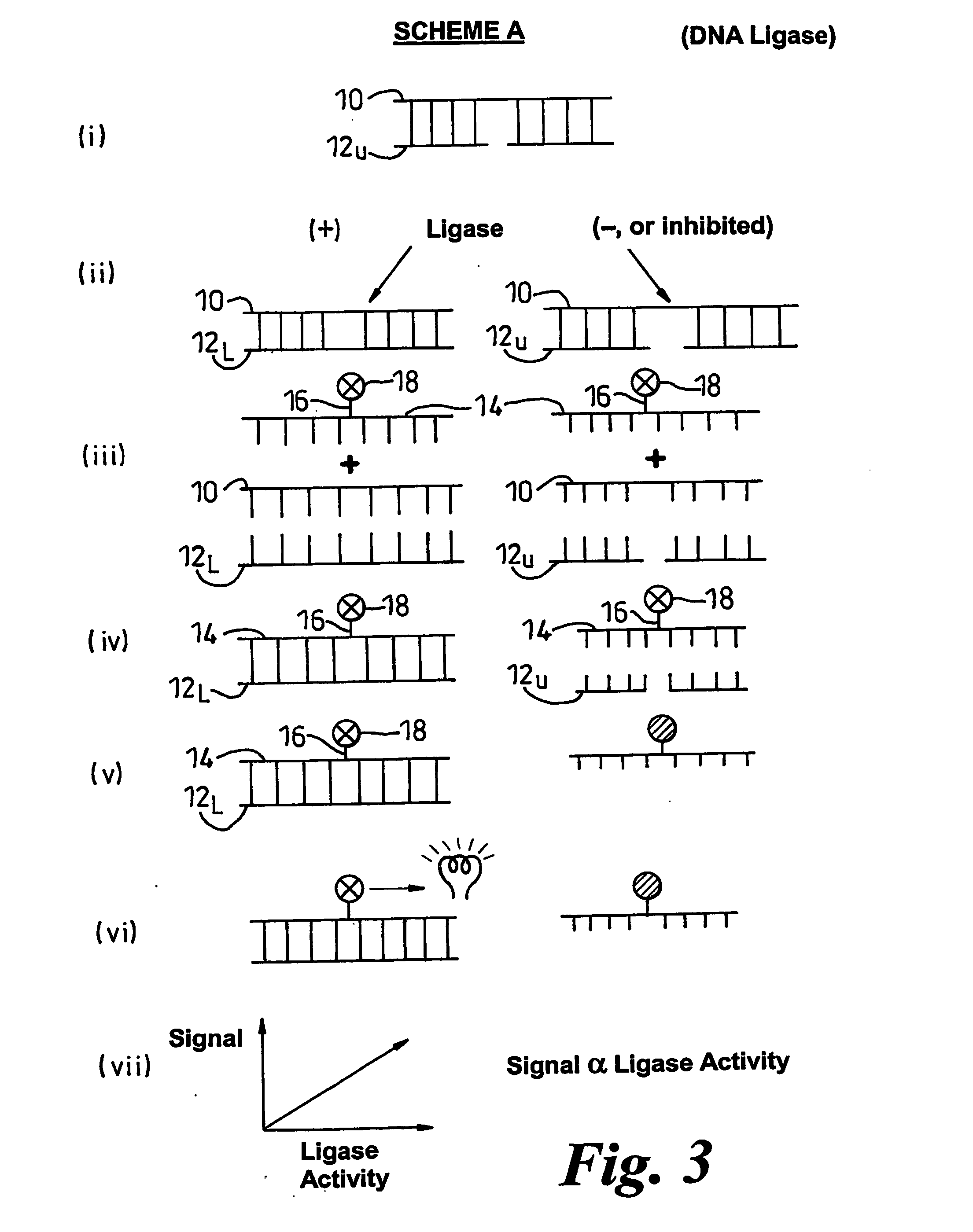 Methods of detecting modification of genetic material and monitoring processes thereof