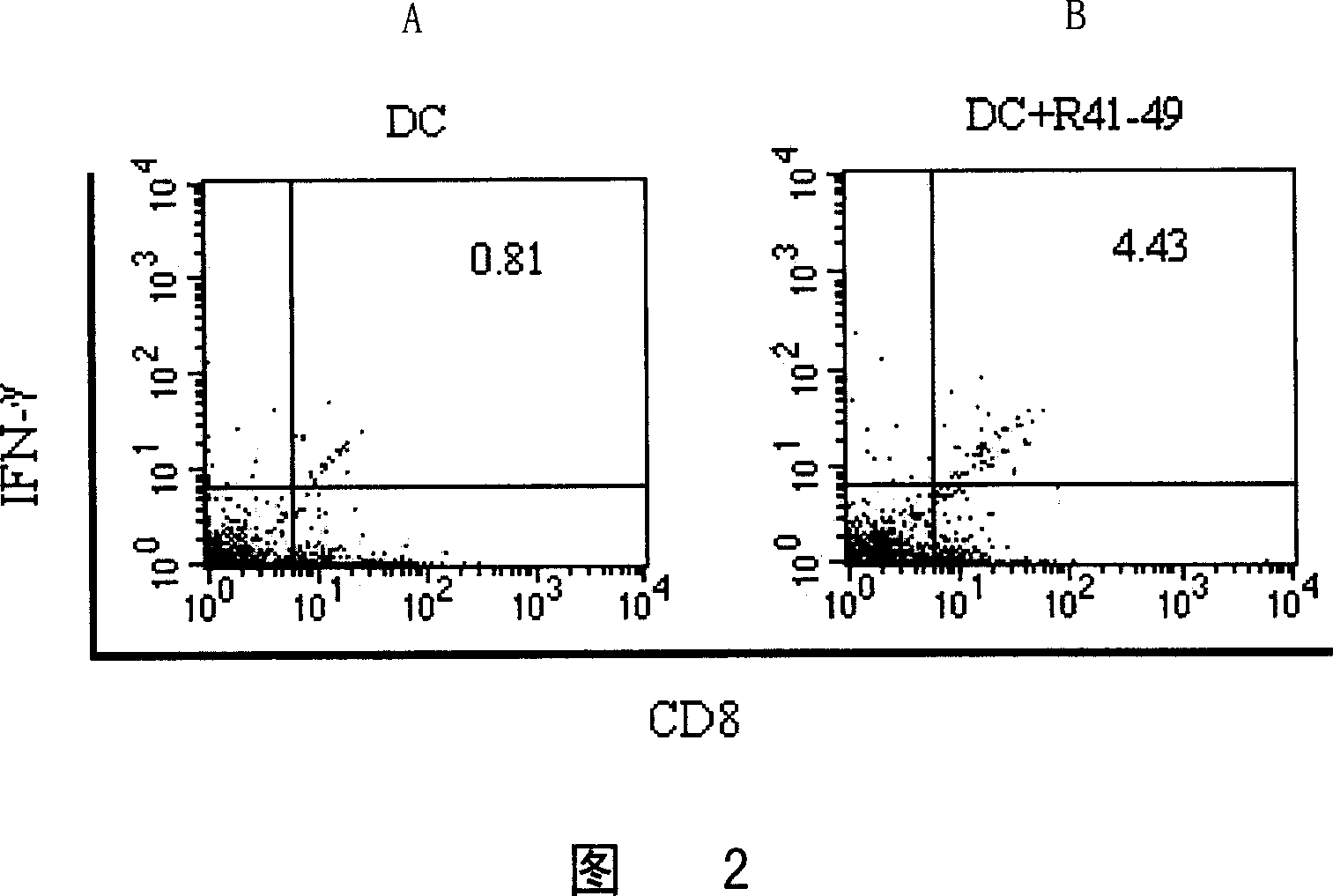 HLA-A2 restriction epi polypeptide originated from post selection cancer gene hRabj and its application