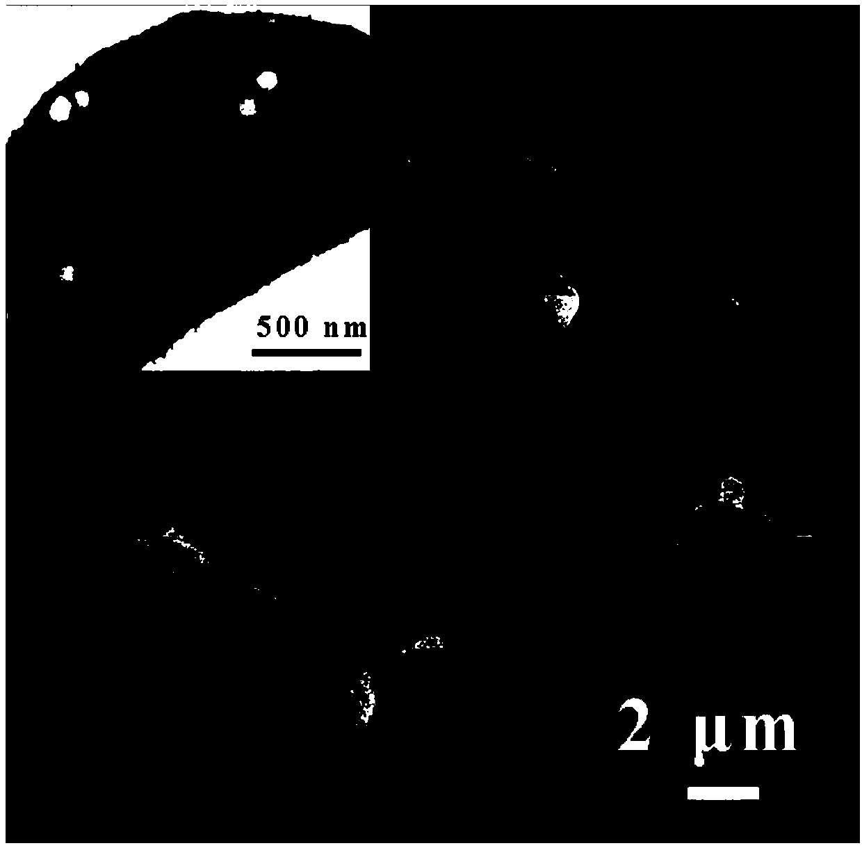 Morphology genetic derivative composite material, preparation method and application thereof