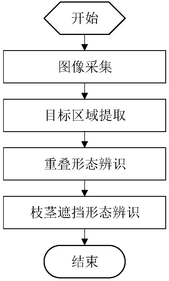 Fruit and vegetable growth form visual identification method in natural environment