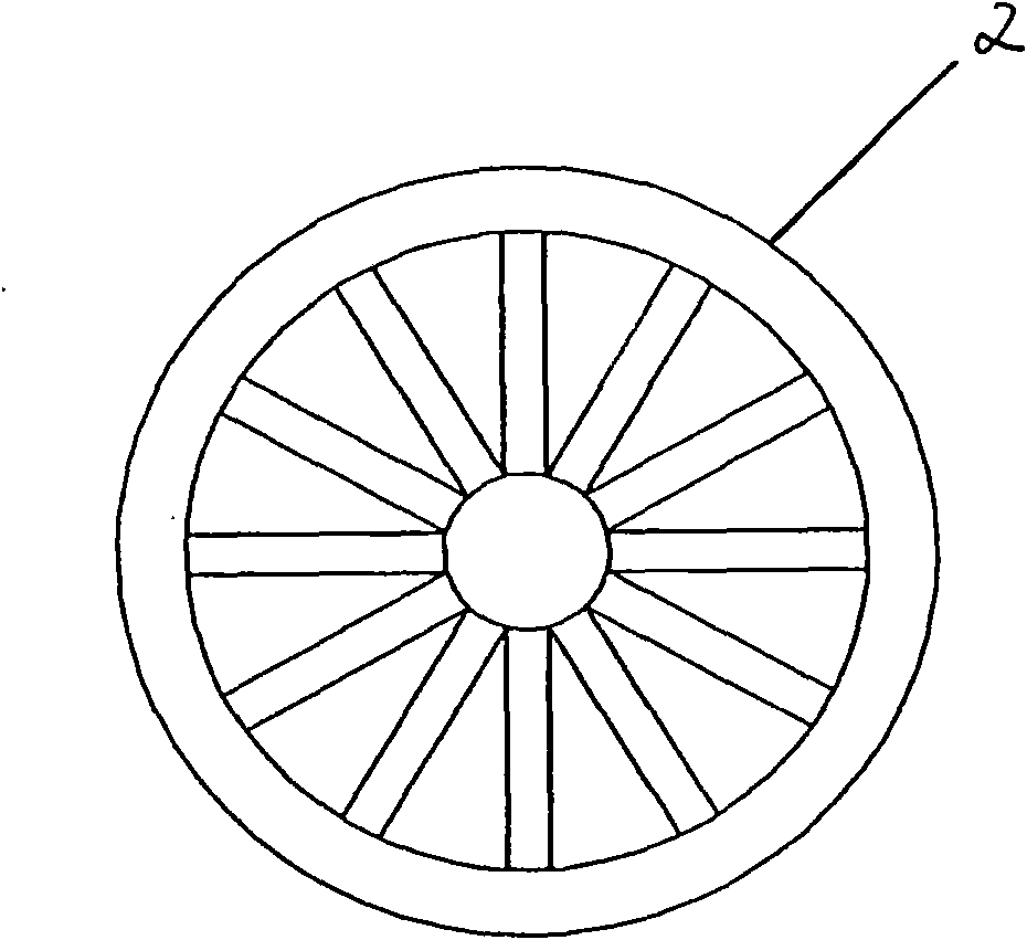 Device for purifying water bodies by using solar energy to guide plants