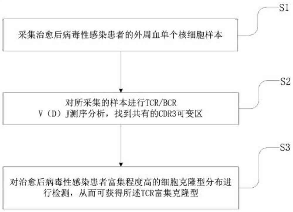 TCR-enriched clonotype and acquisition method and use thereof