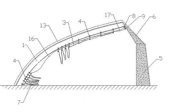 High-light efficiency sunlight greenhouse