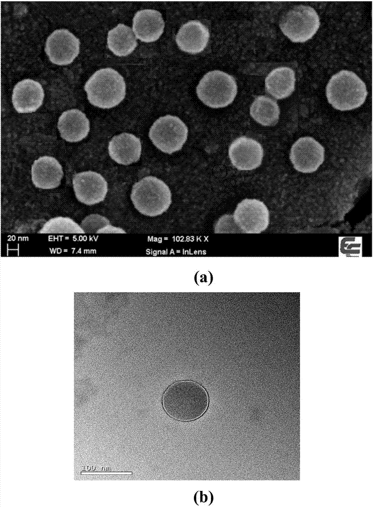 A polymer/clay nanocomposite material with core-shell structure and preparation method thereof