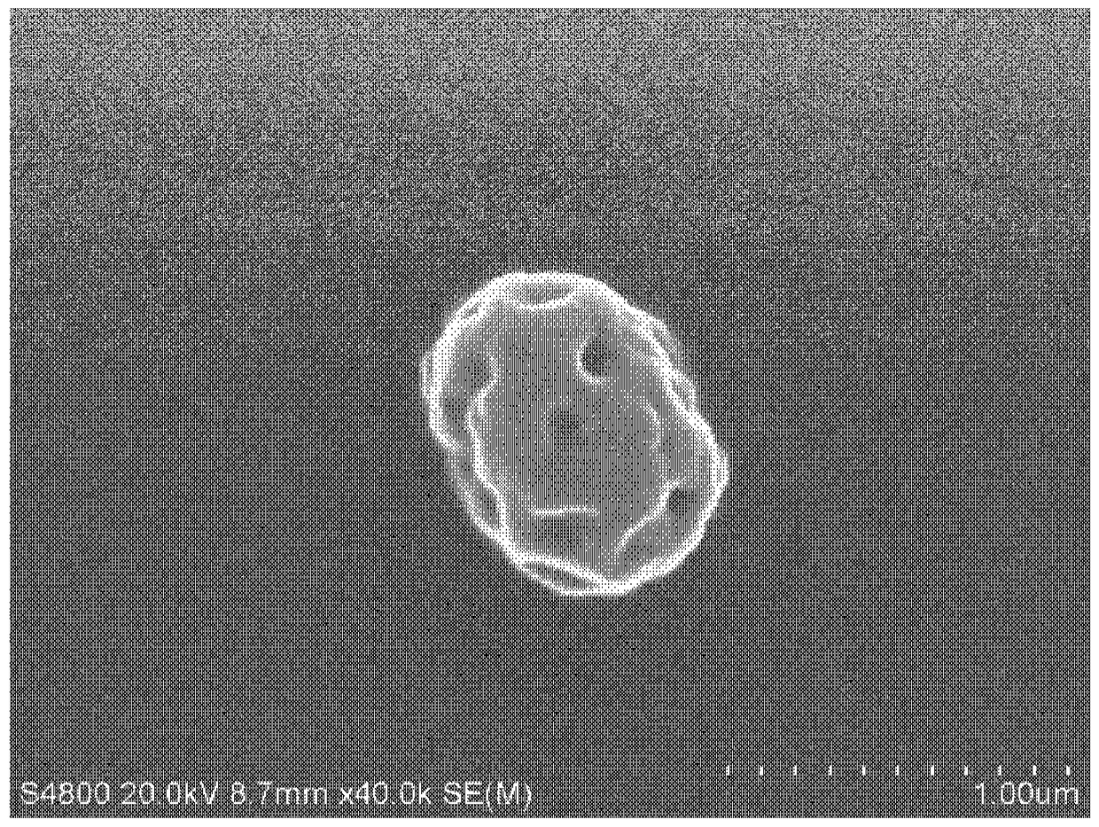 Preparation method of environmental protection enzyme and algal bloom inhibitor