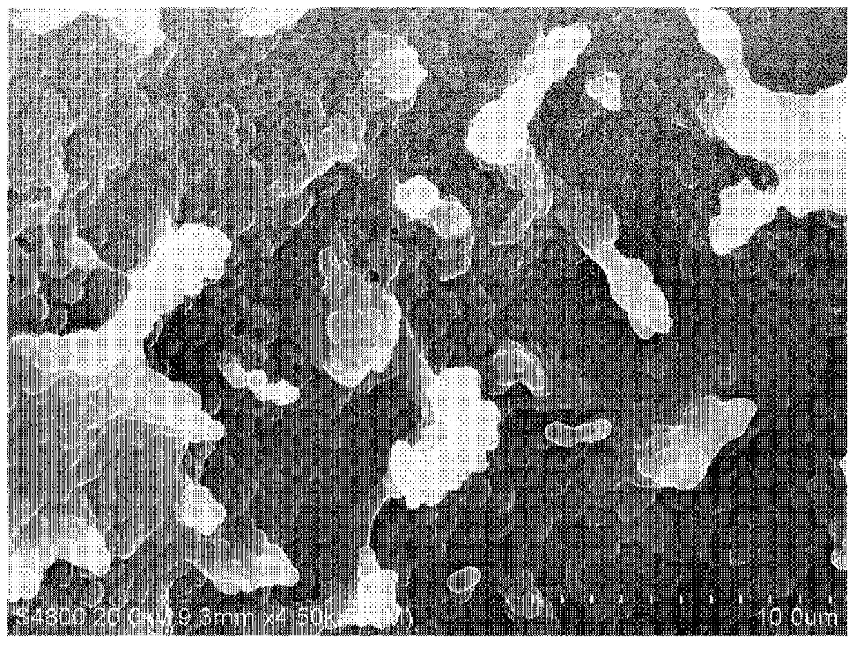 Preparation method of environmental protection enzyme and algal bloom inhibitor