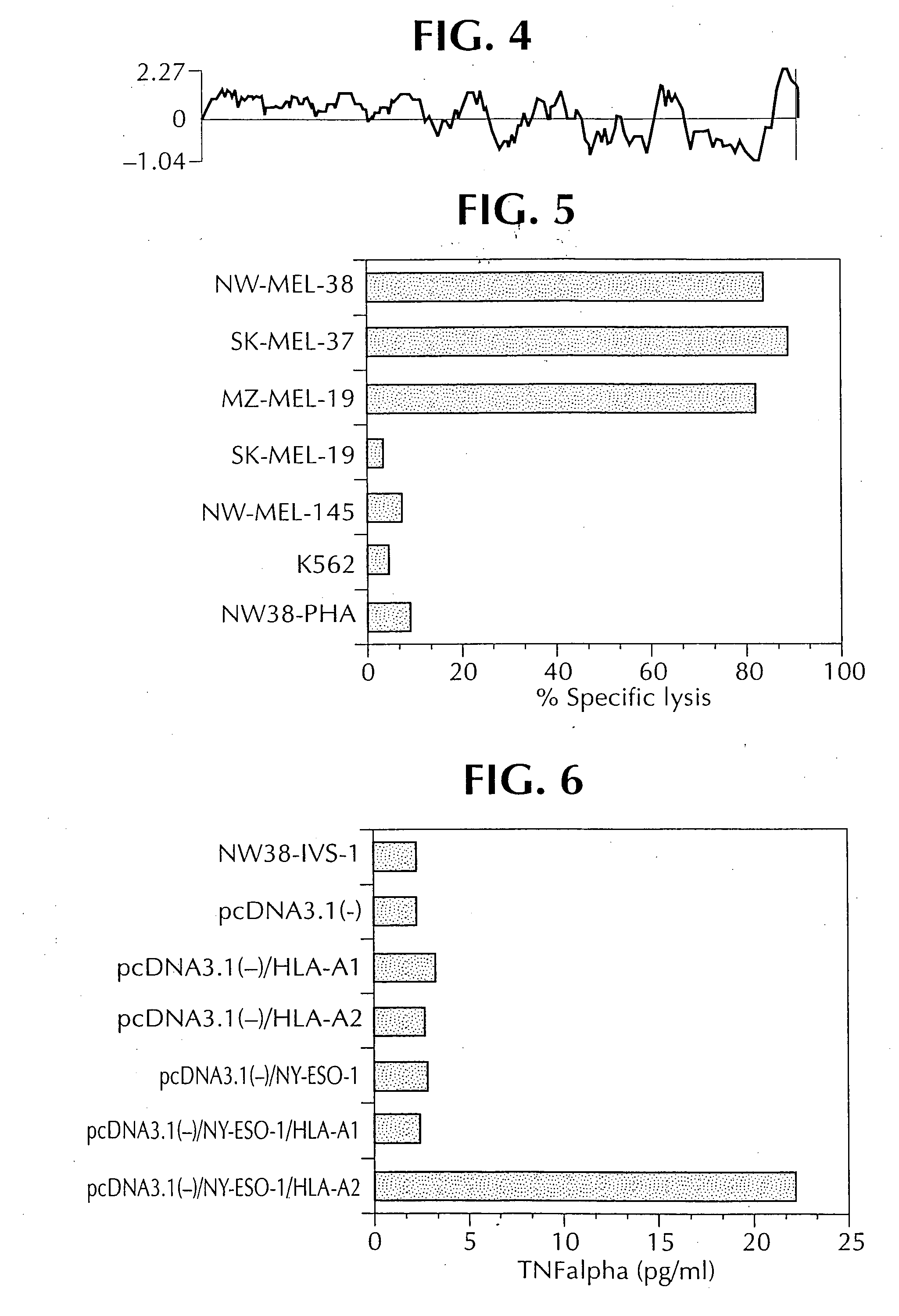 Isolated peptides which bind to MHC class II molecules, and uses thereof