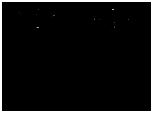 Vertebra CT image three-dimensional visualization method