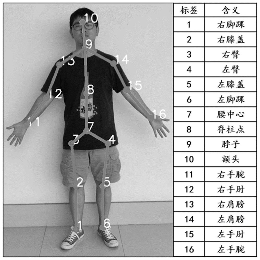 Posture estimation and human body analysis system based on multi-task deep learning