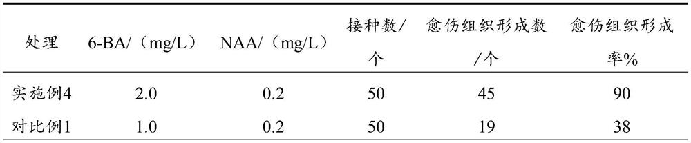 Rapid propagation method and culture medium for Dioscorea composita tissue culture seedlings