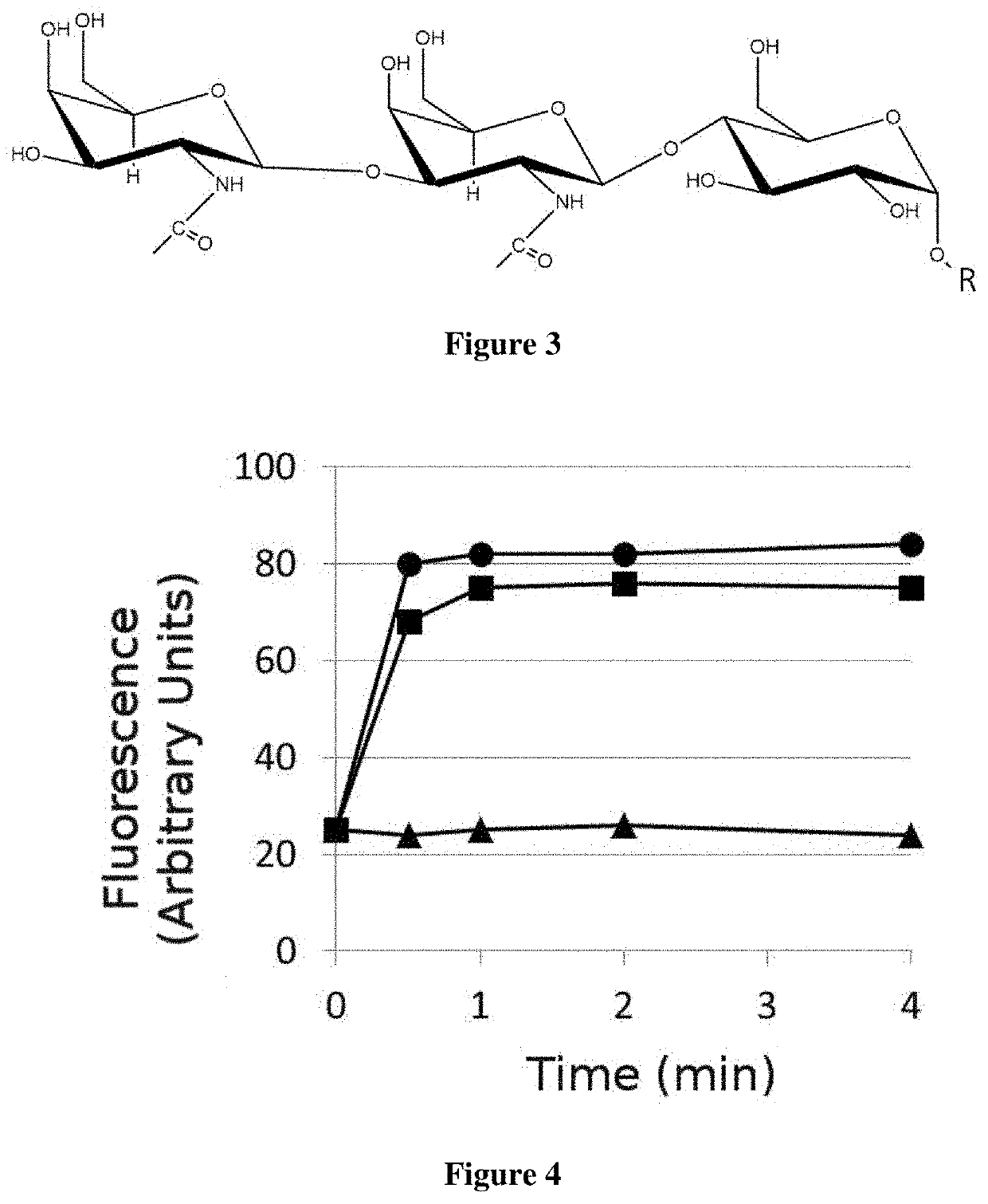 Glycoside compound of fatty acids, composition comprising it, process for its obtention and methods to apply it on plants or fruits or both at the same time