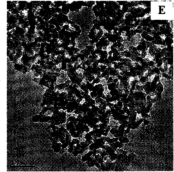 Calcium silicate/hydroxylapatite composite biological ceramic material and preparation method and application thereof