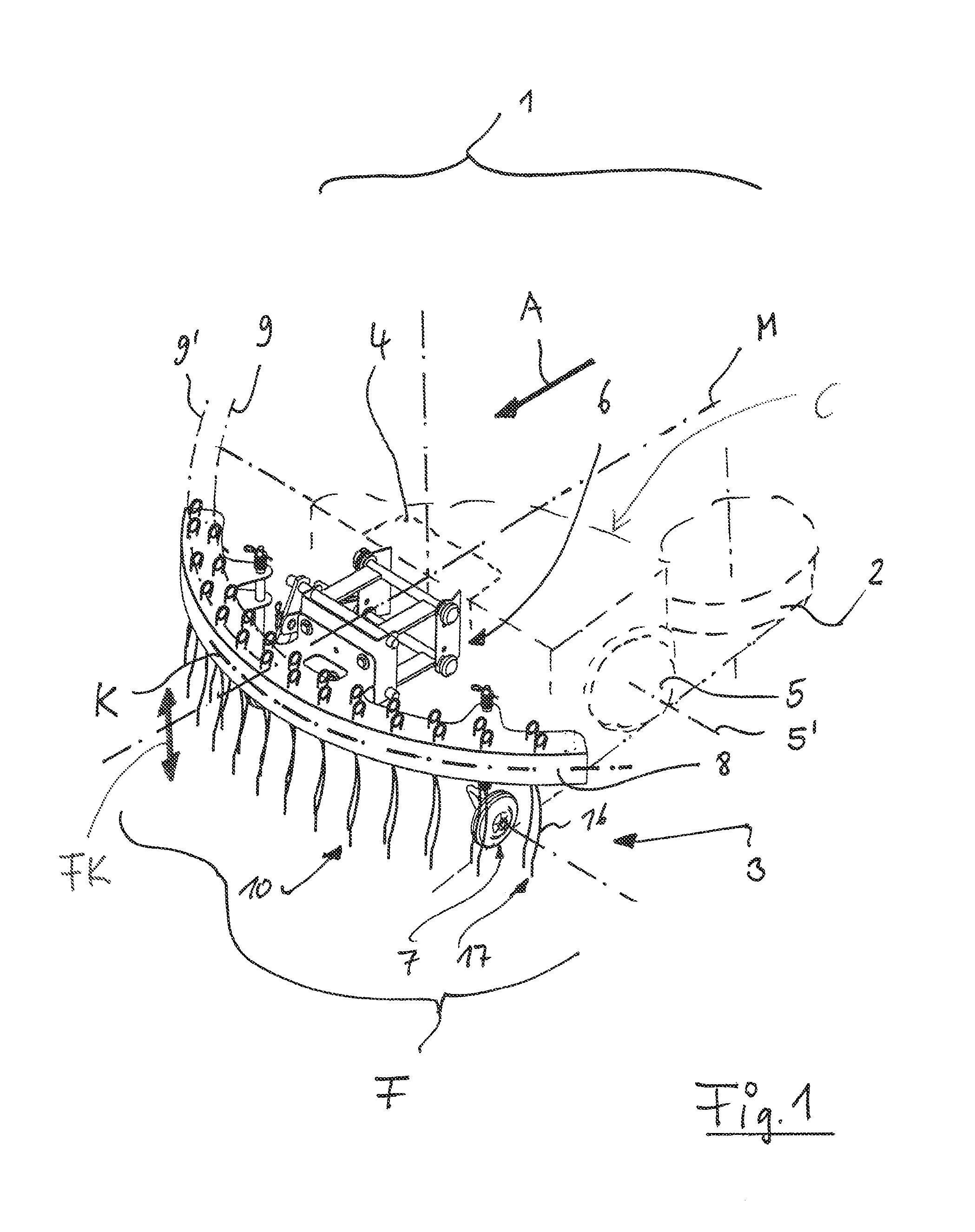 Device for landscape care with spring tine rake