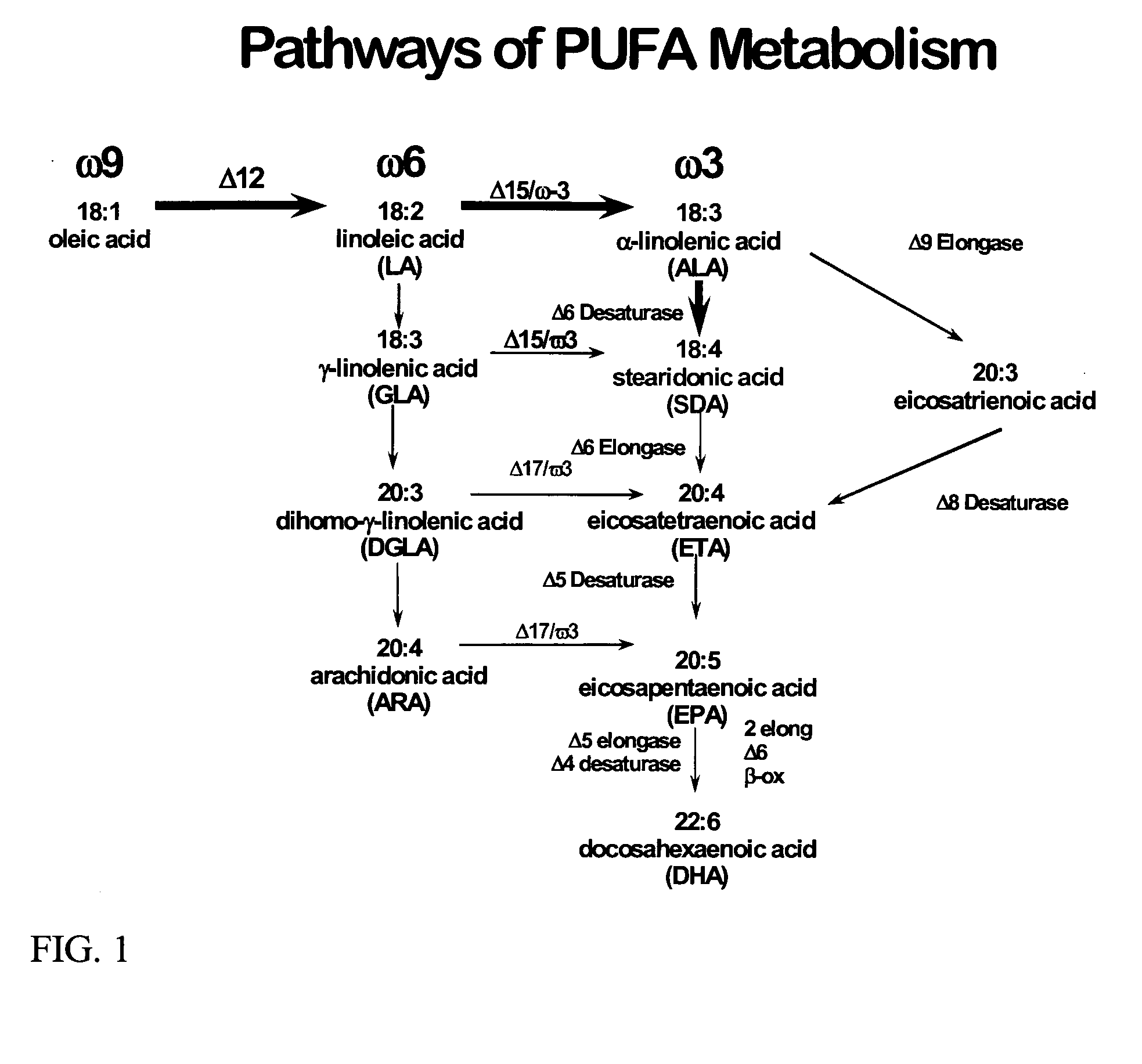 Food compositions incorporating additional long chain fatty acids