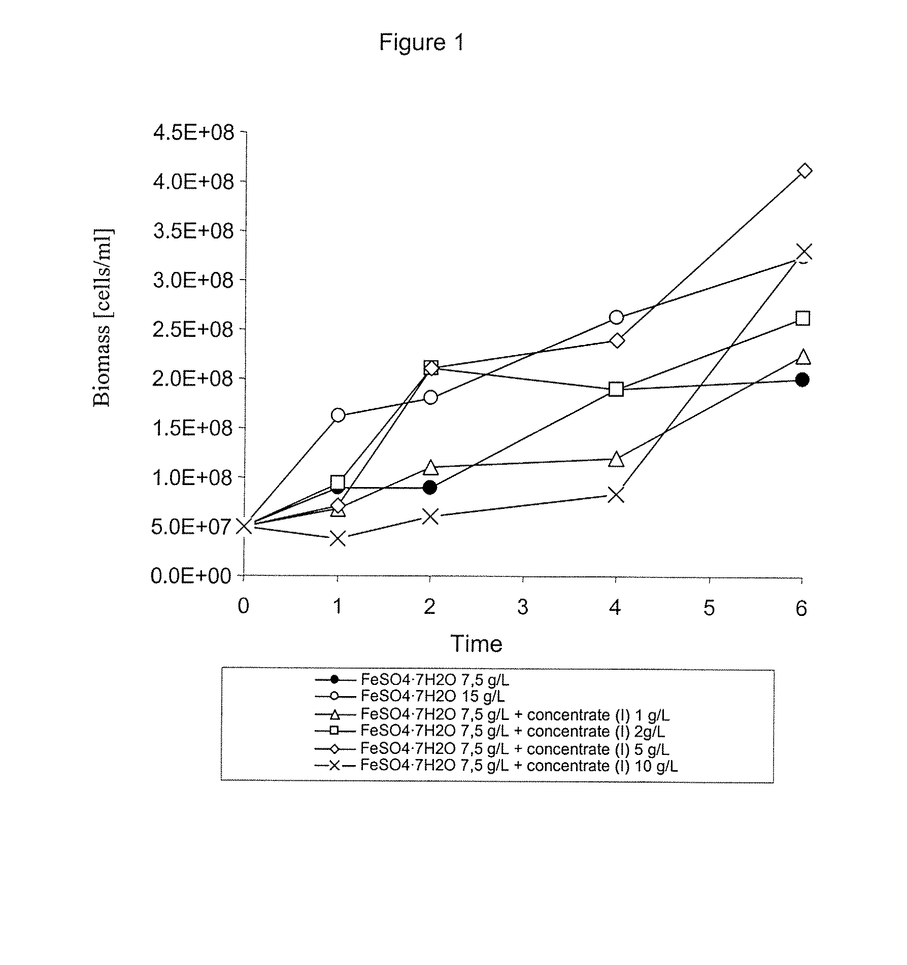 PROCESS FOR THE JOINT CULTURE OF AN ASSOCIATION OF MICROORGANISM, USING PYRITE (FeS2) AS AND ENERGY SOURCE