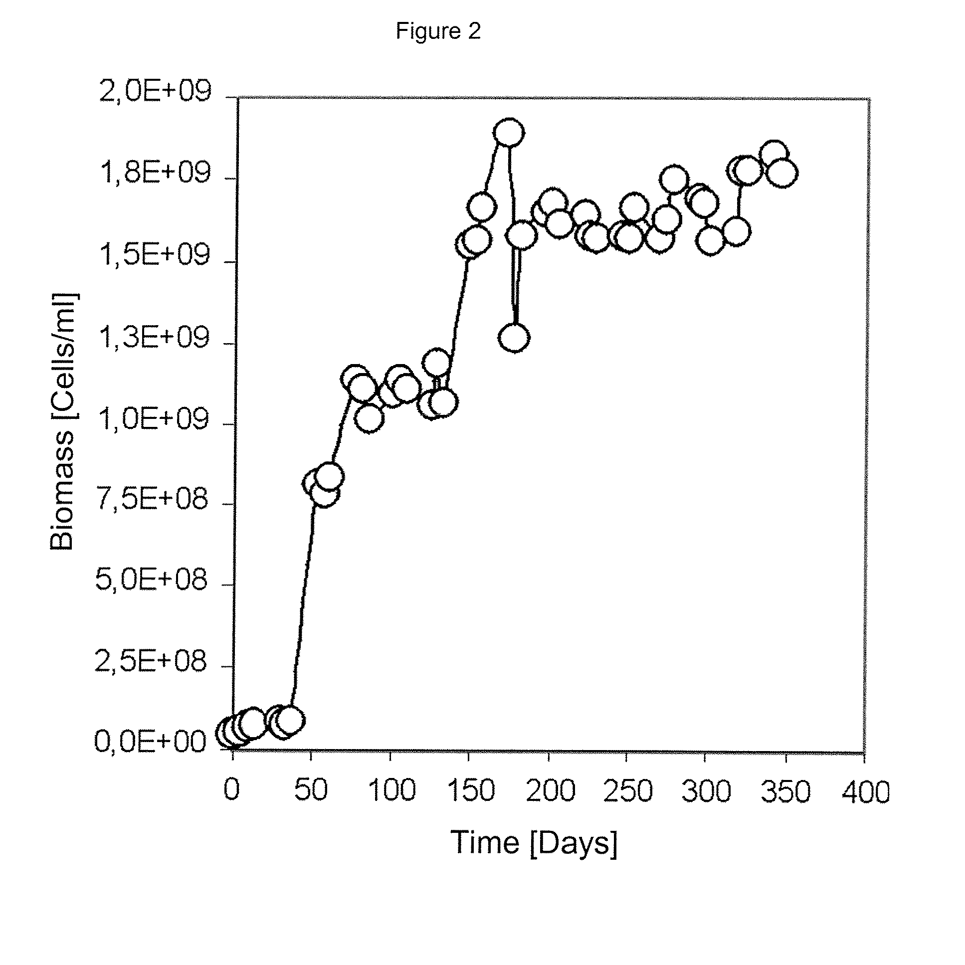 PROCESS FOR THE JOINT CULTURE OF AN ASSOCIATION OF MICROORGANISM, USING PYRITE (FeS2) AS AND ENERGY SOURCE