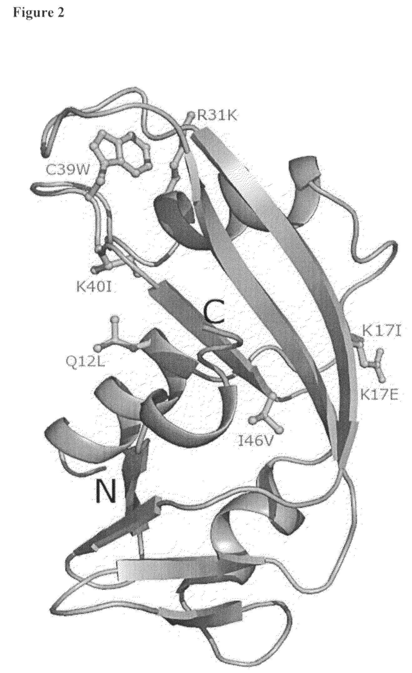 Treatment of ALS and variants thereof consisting of primary lateral sclerosis (PLS) or spinal muscular atrophy (SMA)