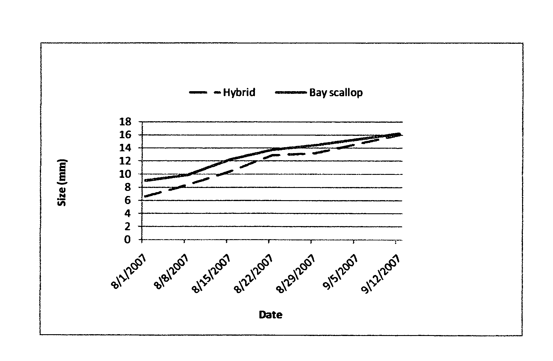 Intergeneric bivalve shellfish hybrid and method for producing