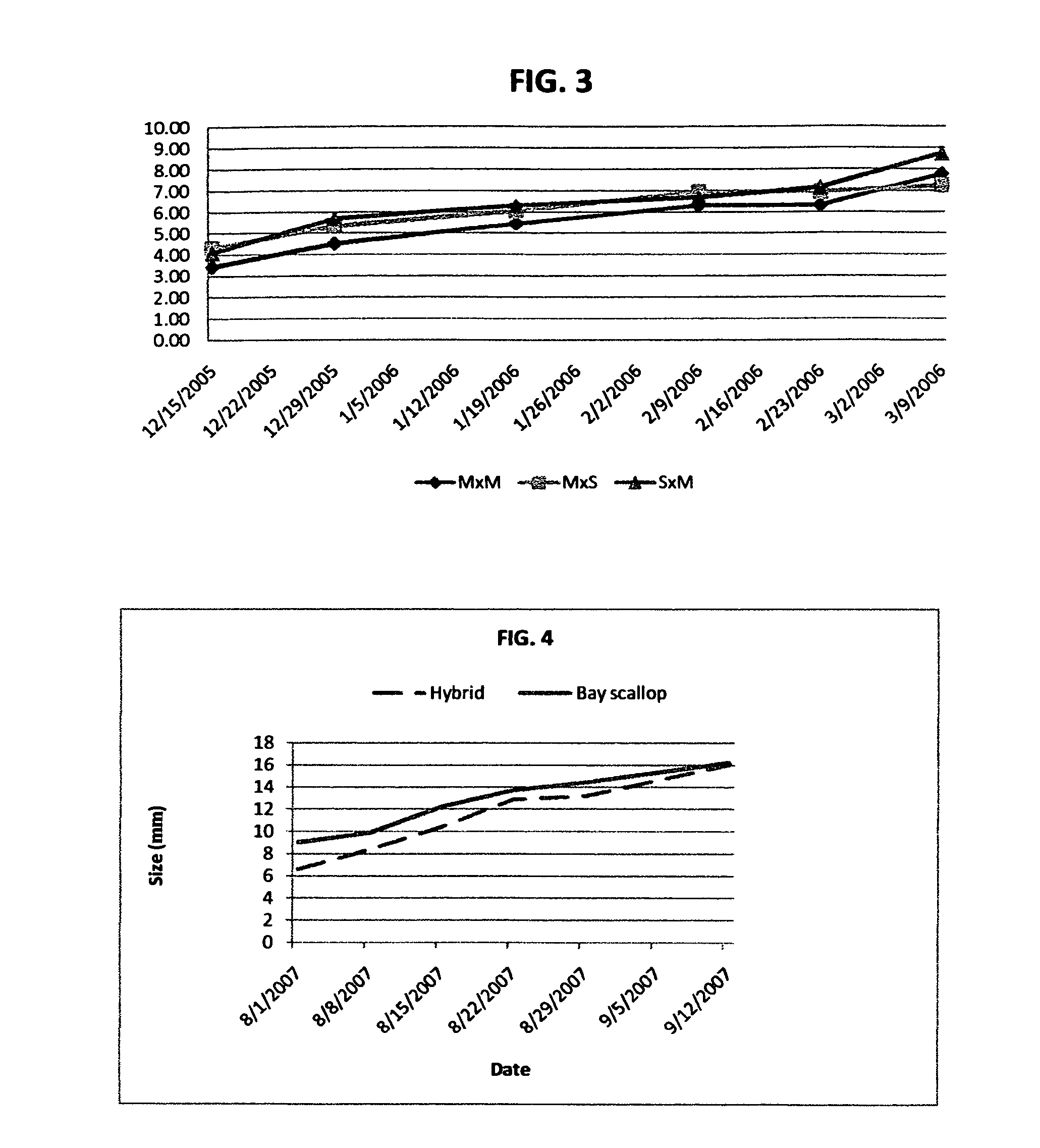 Intergeneric bivalve shellfish hybrid and method for producing