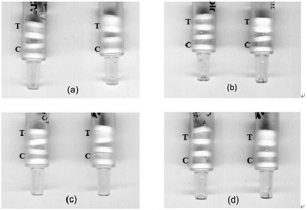 Immunoaffinity gel detection column for detecting gentamicin and preparation method thereof