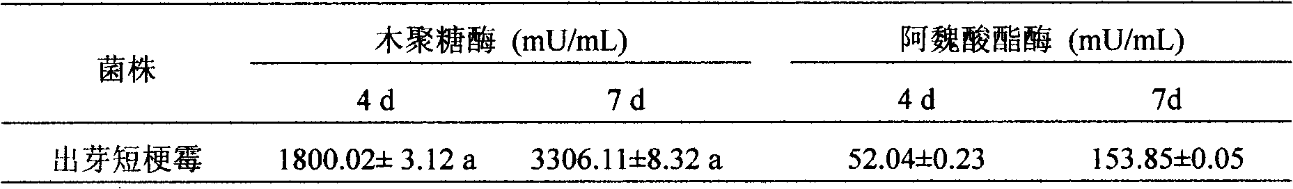 Method for preparing ferulic acid and oligosaccharide by producing enzymes from Salicornia bigelovii straws fermented by Aureobasidium pullulans