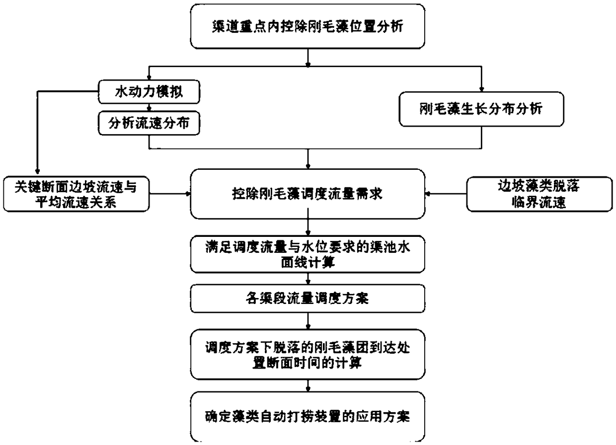 Method for controlling and removing cladophora in channel type drinking water resource area based on scheduling and disposal