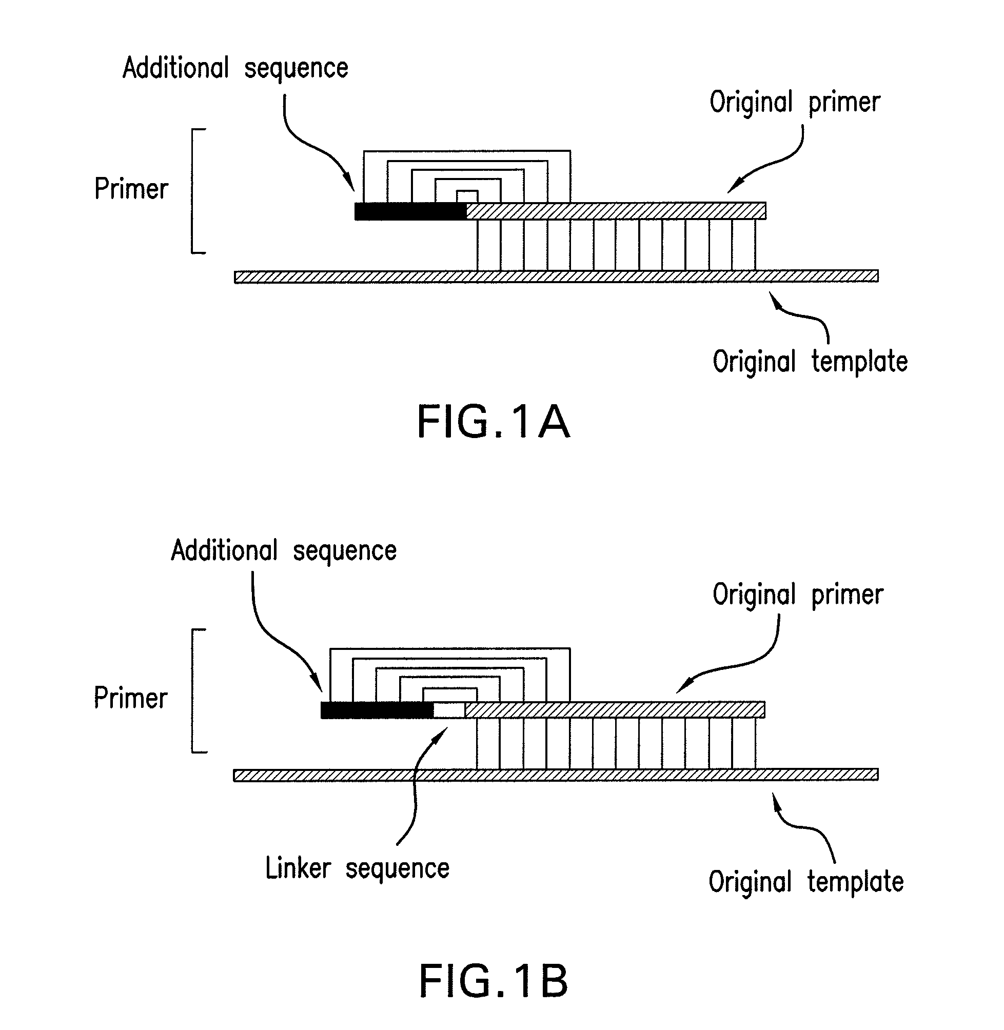 PCR primer capable of reducing non-specific amplification and PCR method using the PCR primer