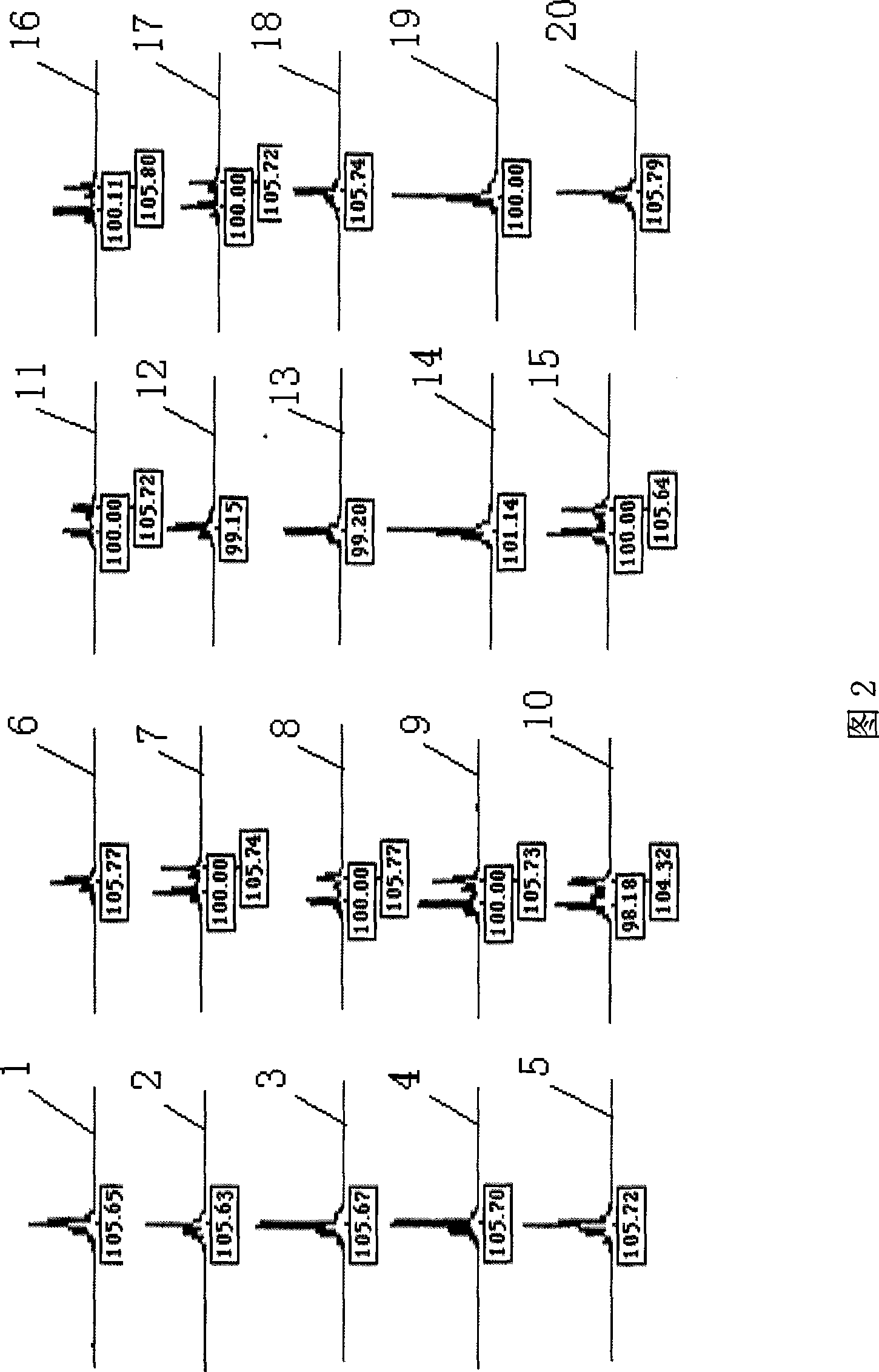 Chinese alligator microsatellite DNA mark