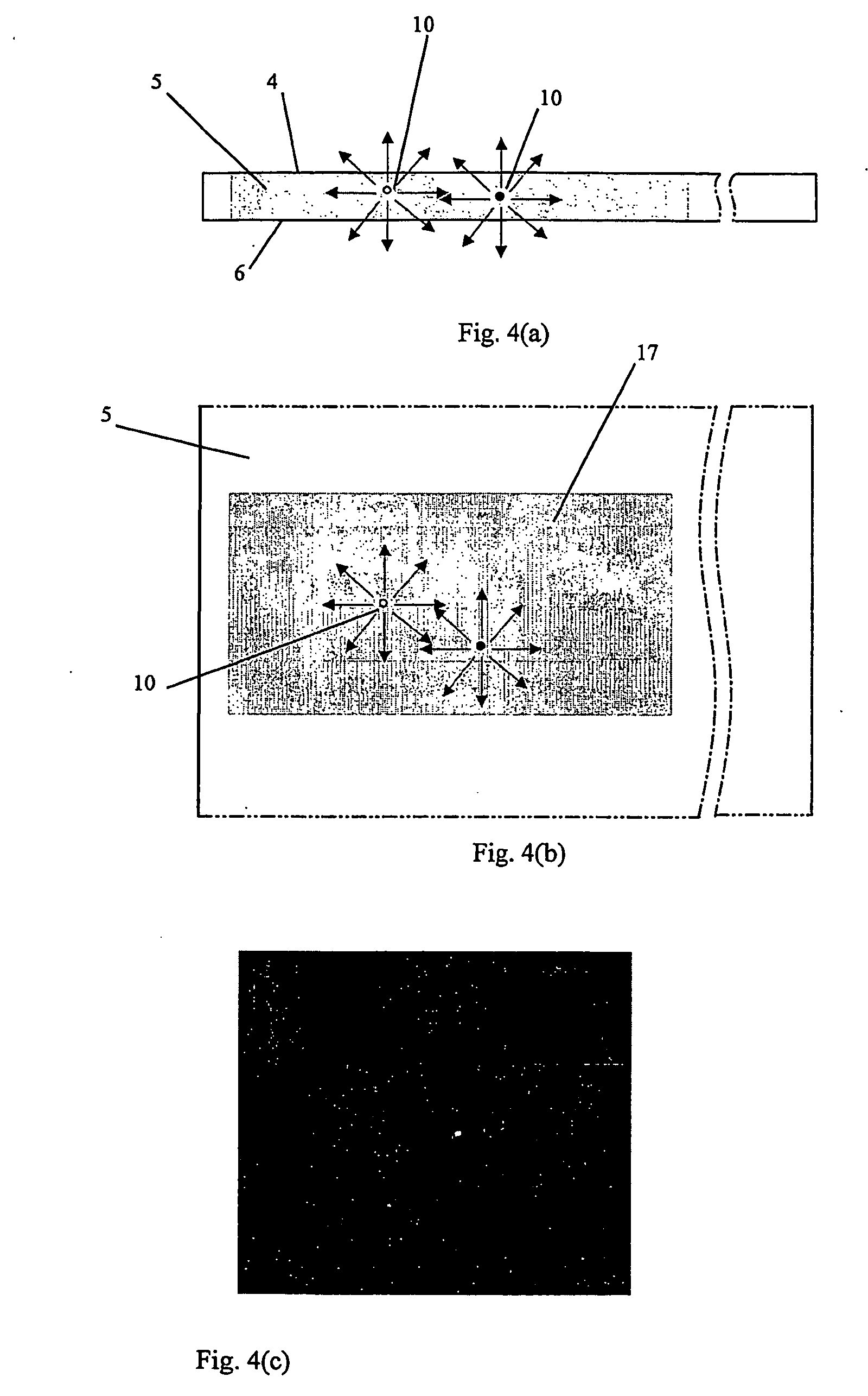 Method and apparatus for detection of inclusion in glass