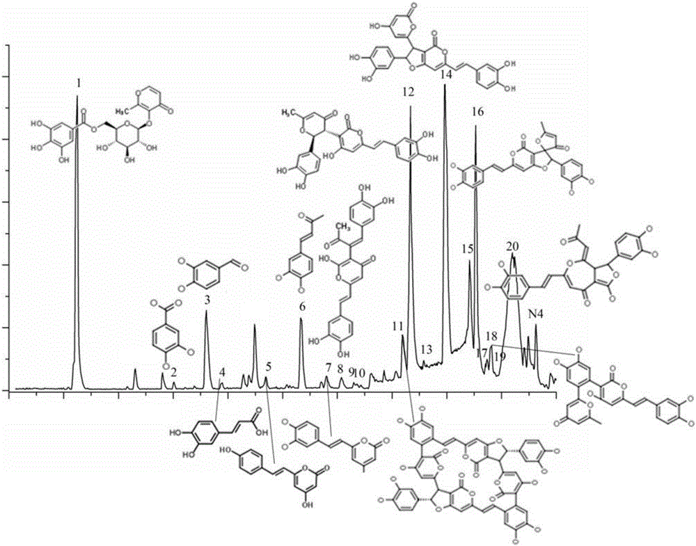 Phellinus igniarius traditional Chinese medicine composition as well as extraction method thereof and application thereof in preparation of anti-tumor drugs