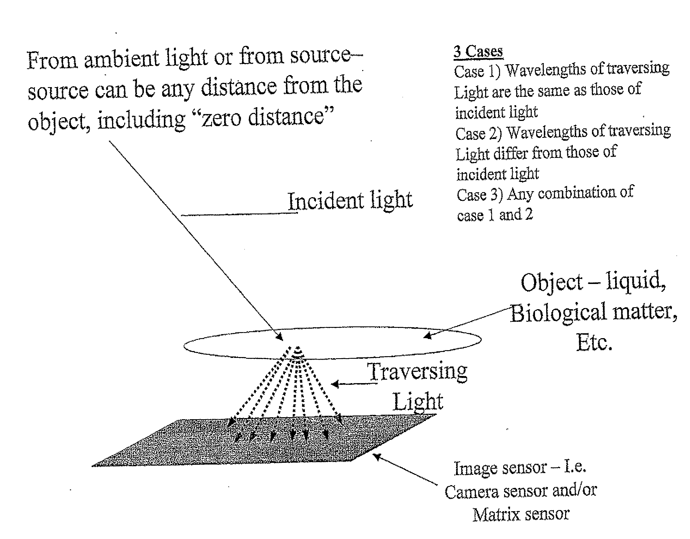 Optical sensor device and image processing unit for measuring chemical concentrations, chemical saturations and biophysical parameters