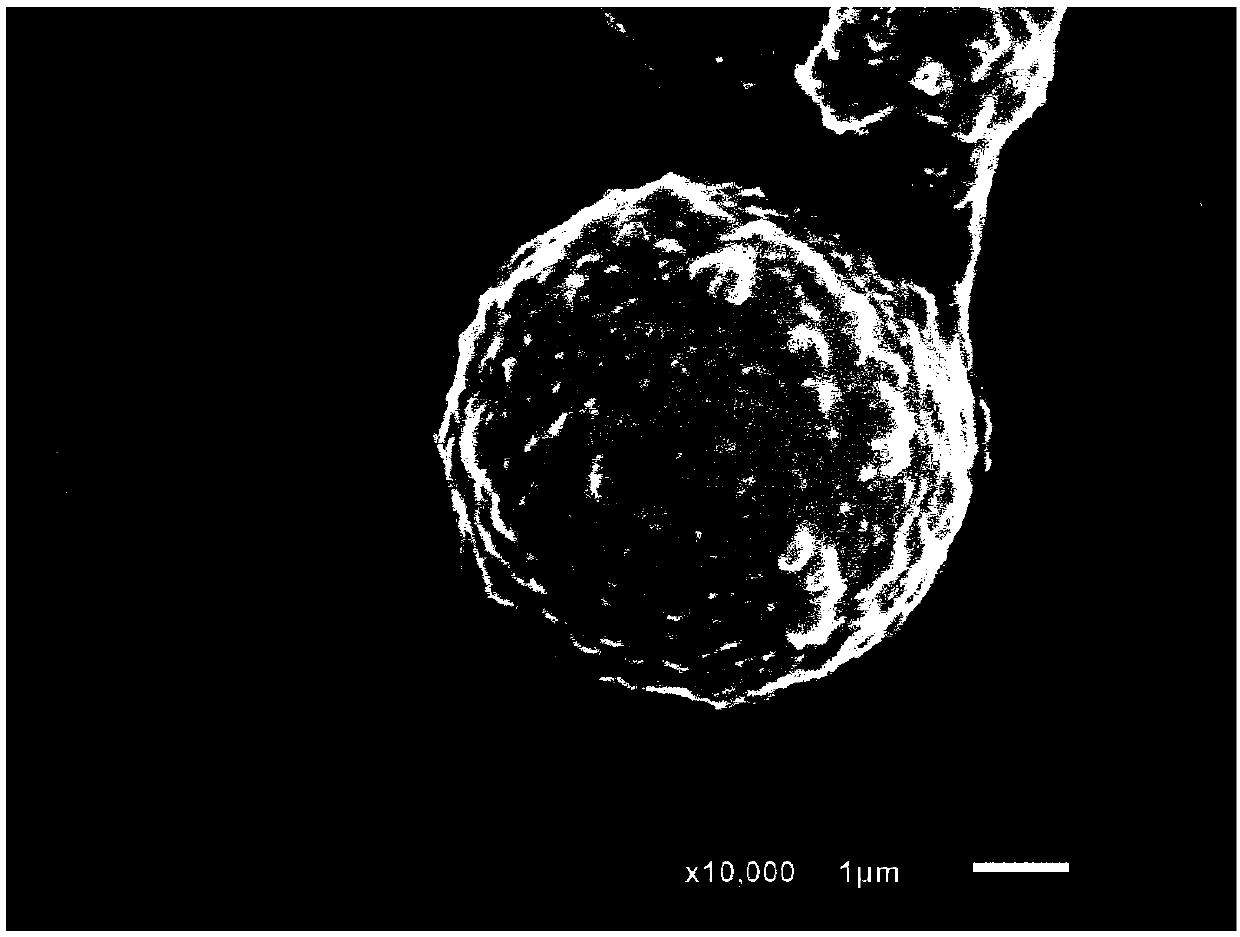 Flame-retardant PET (polyethylene terephthalate)/nanocarbon microsphere composite material and preparation method thereof