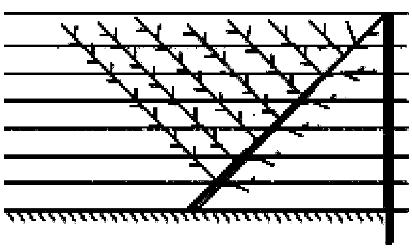 Large cherry tree form construction method